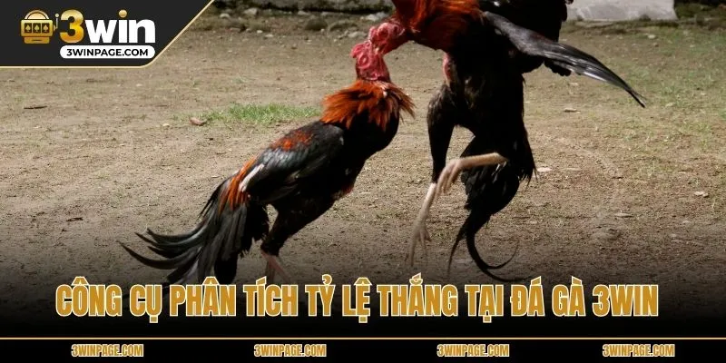 Công cụ phân tích tỷ lệ thắng tại Đá gà 33WIN